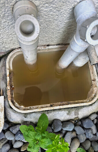 https://claremontplumber.com.au/uploads/2025/06/blocked-drains-912576.jpg